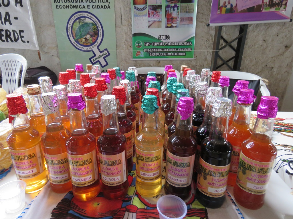 Seminário Regional sobre Organização da Produção Sustentável e Estratégias de Mercado da Agricultura Familiar do Sudoeste Paraense - foto 15