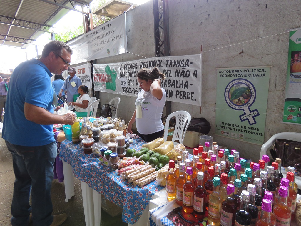 Seminário Regional sobre Organização da Produção Sustentável e Estratégias de Mercado da Agricultura Familiar do Sudoeste Paraense - foto 16