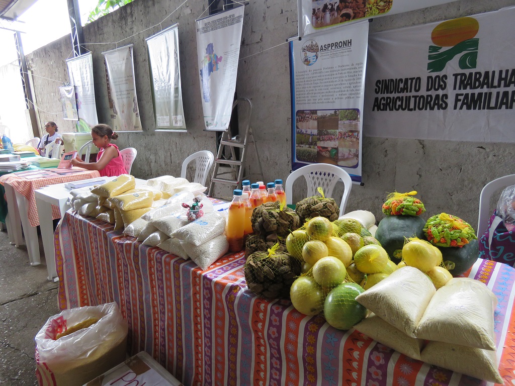 Seminário Regional sobre Organização da Produção Sustentável e Estratégias de Mercado da Agricultura Familiar do Sudoeste Paraense - foto 17