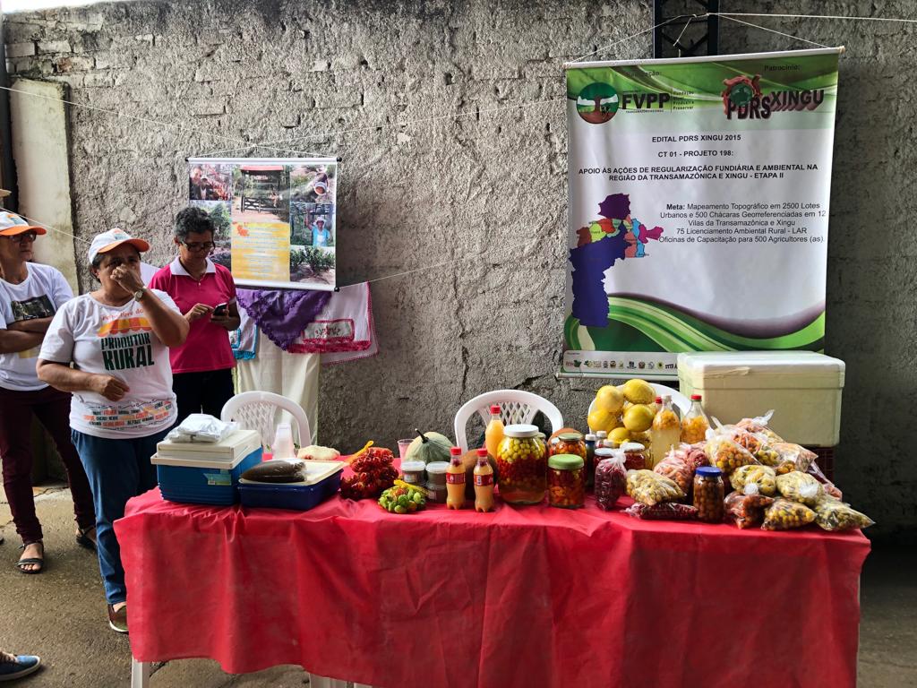 Seminário Regional sobre Organização da Produção Sustentável e Estratégias de Mercado da Agricultura Familiar do Sudoeste Paraense - foto 18