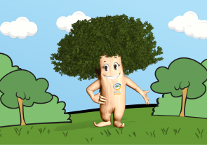 2 – Programa de Educação Ambiental