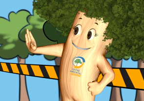 7 – Programa de Proteção à Flora