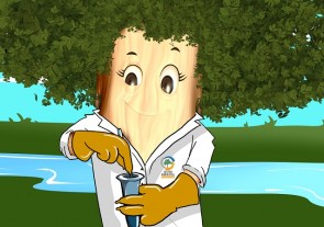 11 – Programa de Monitoramento da Qualidade da Água