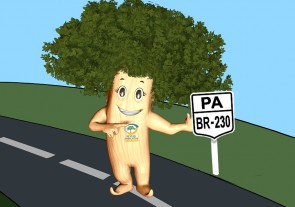 13 – Programa de Gestão Ambiental