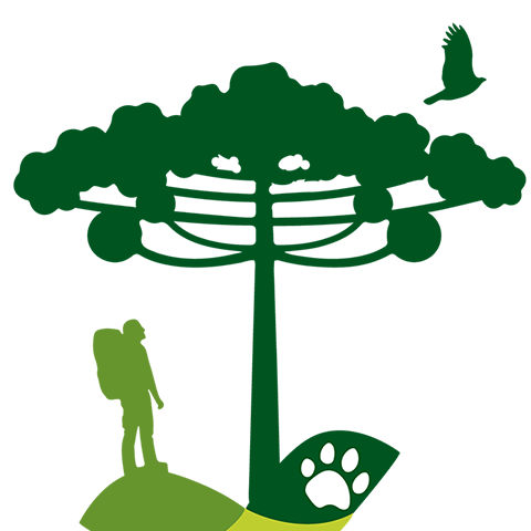 Floresta Nacional de São Francisco de Paula